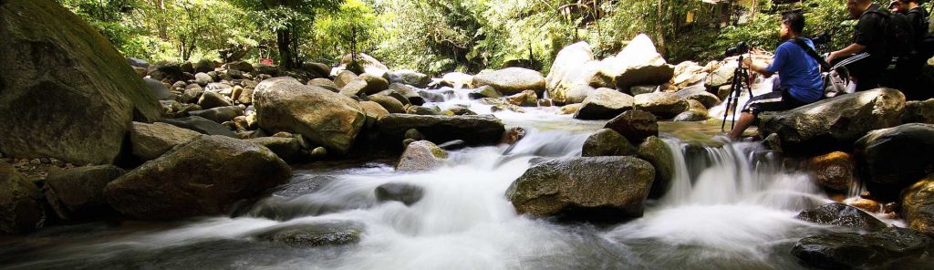 Estudios de impacto ambiental
